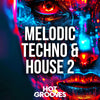 Melodic Techno & House 2