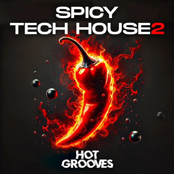 Spicy Tech House 2