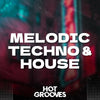 Melodic Techno & House
